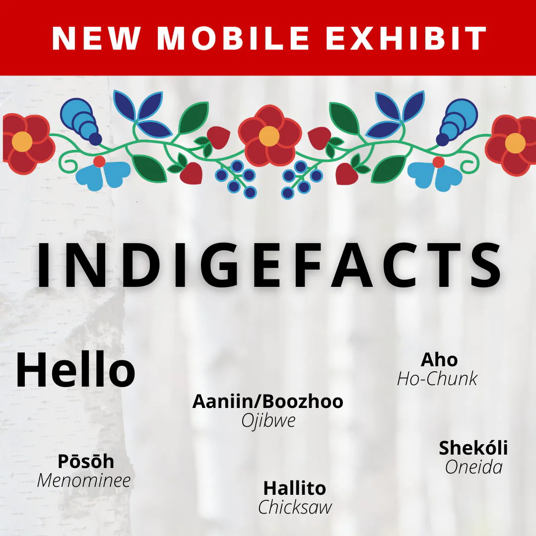 1-indigifacts