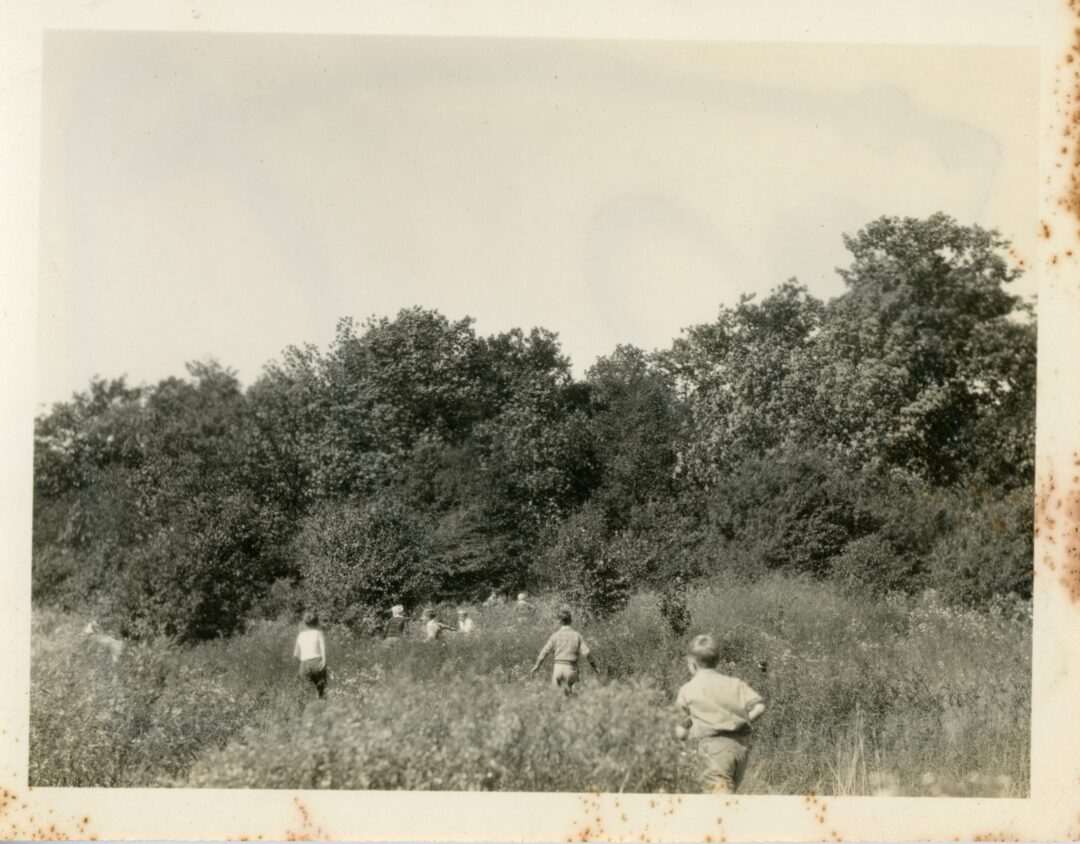Kids in Woods