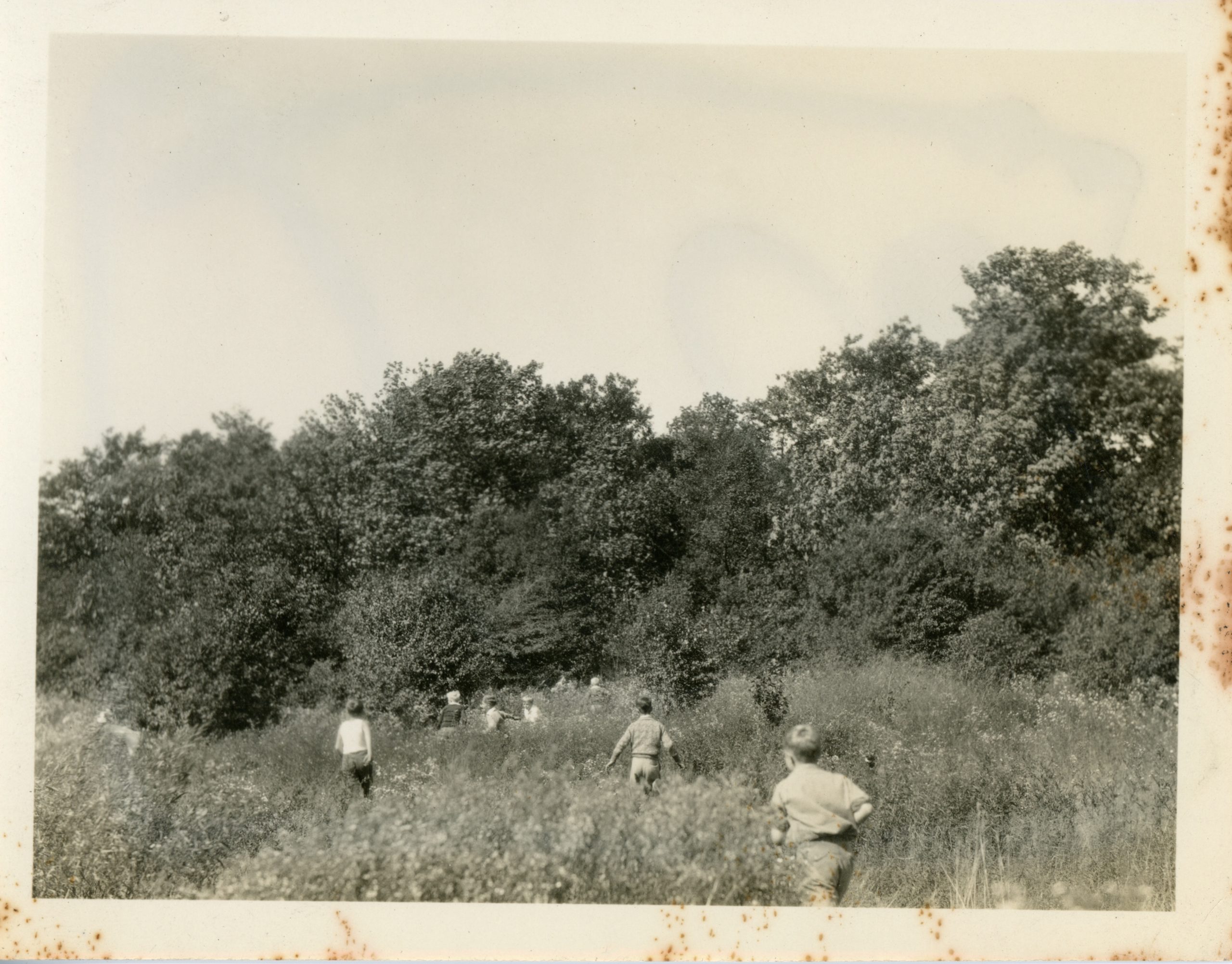 Kids in Woods